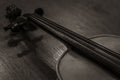 Violin in a sepia color picture