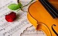 Violin sheet music and rose