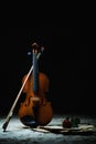 Violin sheet music and rose Royalty Free Stock Photo