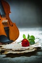 Violin sheet music and rose Royalty Free Stock Photo