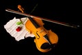 Violin sheet music and rose Royalty Free Stock Photo