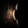 Violin silhouette strings close up Royalty Free Stock Photo