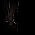 Violin silhouette strings closeup Royalty Free Stock Photo