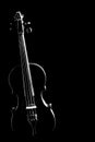 Violin silhouette strings isolated Royalty Free Stock Photo