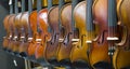 Handmade violins in the store Royalty Free Stock Photo