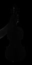 Violin, string instrument in the hands of musician isolated on black