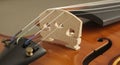 Violin Strings and Bridge Closeup Shot Royalty Free Stock Photo
