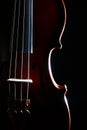 Violin strings Royalty Free Stock Photo