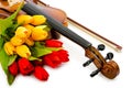 Violin and tulip flowers Royalty Free Stock Photo