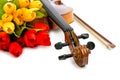 Violin and tulip flowers Royalty Free Stock Photo
