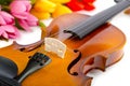 Violin and tulip flowers Royalty Free Stock Photo