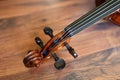 Violin tune chorus head Royalty Free Stock Photo