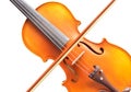 Violin under the white background