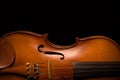 Violin vintage Royalty Free Stock Photo