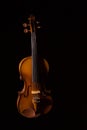 Violin vintage Royalty Free Stock Photo