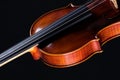 Violin Viola On Black Royalty Free Stock Photo