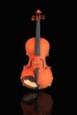 violin viola isolated against a black back ground