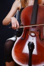 Violin Violoncello Royalty Free Stock Photo