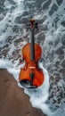 Violin washed ashore on a sandy beach