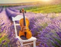 Violin on a white chair in beautiful lavender field