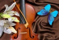 violin, white lily and blue morpho butterfly on a background of brown silk.