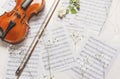 Violin and white rose on music sheets with gypsophila flowers, above vantage point photography Royalty Free Stock Photo