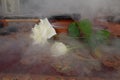 Violin white roses and smoke