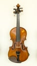 Violin Royalty Free Stock Photo