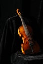 Violine Royalty Free Stock Photo