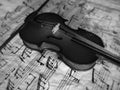 Violine stringed musical instrument Royalty Free Stock Photo