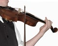 Violine player, (isolated) Royalty Free Stock Photo