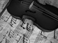 Violine stringed musical instrument Royalty Free Stock Photo