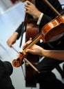 Violinists Royalty Free Stock Photo