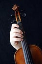 Violinists Royalty Free Stock Photo