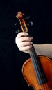 Violinists Royalty Free Stock Photo