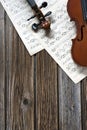 Violins on music paper Royalty Free Stock Photo