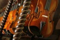 Violins in a shop of a violin maker Royalty Free Stock Photo