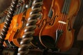 Violins in a shop of a violin maker