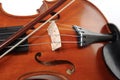 Violins. soft focus Royalty Free Stock Photo