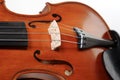 Violins. soft focus Royalty Free Stock Photo