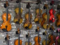 Violins standing on the wall in a music store. many wooden violins Royalty Free Stock Photo