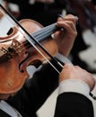 Violinst Royalty Free Stock Photo