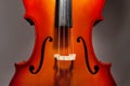 Violoncello fragment on the grey background