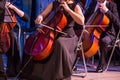 Violoncello musician in orchestra Royalty Free Stock Photo