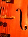 Violoncello in an orchestra