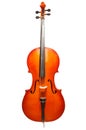 Violoncello standing on the white background