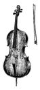 Violoncello, vintage illustration