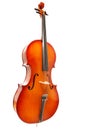 Violoncello on white background in full length Royalty Free Stock Photo