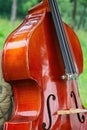 Violonchello chello instrument music string instrument