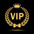 Vip member gold icon Royalty Free Stock Photo